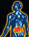 Treatment Strategies for Acute Low Back Pain:<br>Focus on Skeletal Muscle Relaxants
