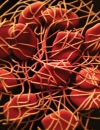 The Primary Care Clinician's Pivotal  Role in the Prevention, Diagnosis, and Treatment of Venous Thromboembolism