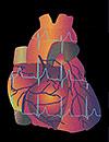 Intervention  Prevention Keeping Current with Acute Coronary Syndrome  Journal Club Issue 5