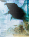Sleep Disorders Across a Woman's Life Span:<br>A Challenge to Obstetricians and Gynecologists