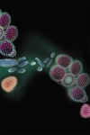 Atlas of Care: Nurse Practitioners' Guide to H1N1 Influenza