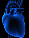 Intervention  Prevention Keeping Current with Acute Coronary Syndrome  Journal Club Issue 7
