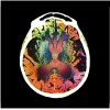 Alzheimer's Management from Diagnosis to Late Stage