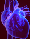 Intervention  Prevention Keeping Current with Acute Coronary Syndrome  Journal Club Issue 11