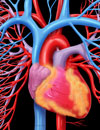 Intervention  Prevention Keeping Current with Acute Coronary Syndrome  Journal Club Issue 12