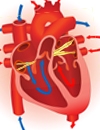 Expanding Treatment Options for Treating Atrial Fibrillation Rate Control, Rhythm Control, New Devices, and New Therapies