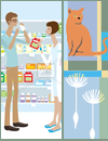 Allergic Rhinitis: Practical Management for Improved Quality of Life—Strategies for Primary Care Clinicians