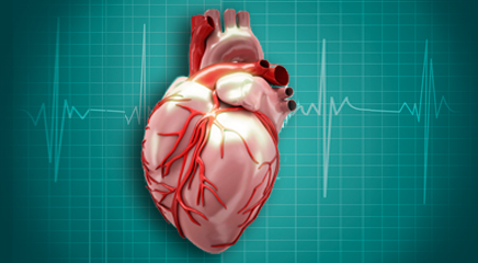 Clinical Updates 10Pack