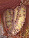 Intermittent ADT in Prostate Cancer A StepbyStep Approach