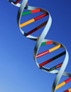 Feasibility, Cost, Potential Impact of Genomic Testing for Lung Cancer in the Clinic