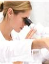 Carfilzomib, Lenalidomide, LowDose Dexamethasone Provides Rapid, Deep Responses in Patients with Newly Diagnosed Multiple Myeloma