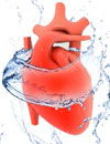 Achieving Treatment Success for Patients with Heart Failure Complicated by Hyponatremia