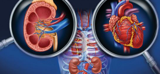 Type 2 Diabetes: Emerging Therapies and Evolving Standards of Care