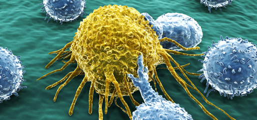 MediBrief: 2013 Breakthroughs in Translational Research in General Oncology