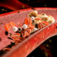 Optimizing Outcomes With Oral Antiplatelet Therapies Optimizing Outcomes With Oral Antiplatelet Therapies