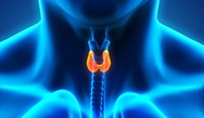 Blocking TSH-Receptor Antibodies in Autoimmune Thyroid Disease Blocking TSH-Receptor Antibodies in Autoimmune Thyroid Disease